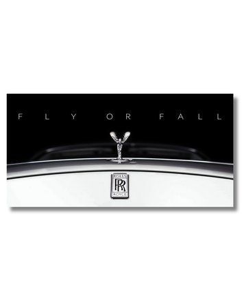 Картина Fly or fall к00532 фото
